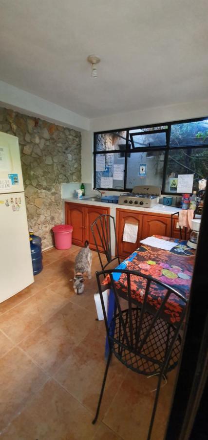 San Cristóbal de Las Casas Hotel Posada Casa Juana מראה חיצוני תמונה