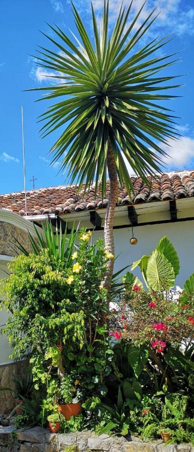 San Cristóbal de Las Casas Hotel Posada Casa Juana מראה חיצוני תמונה